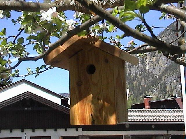 Haus Waldfriede Apartment Pertisau Bagian luar foto